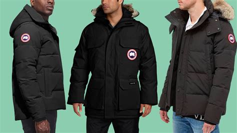 canada goose dupe men